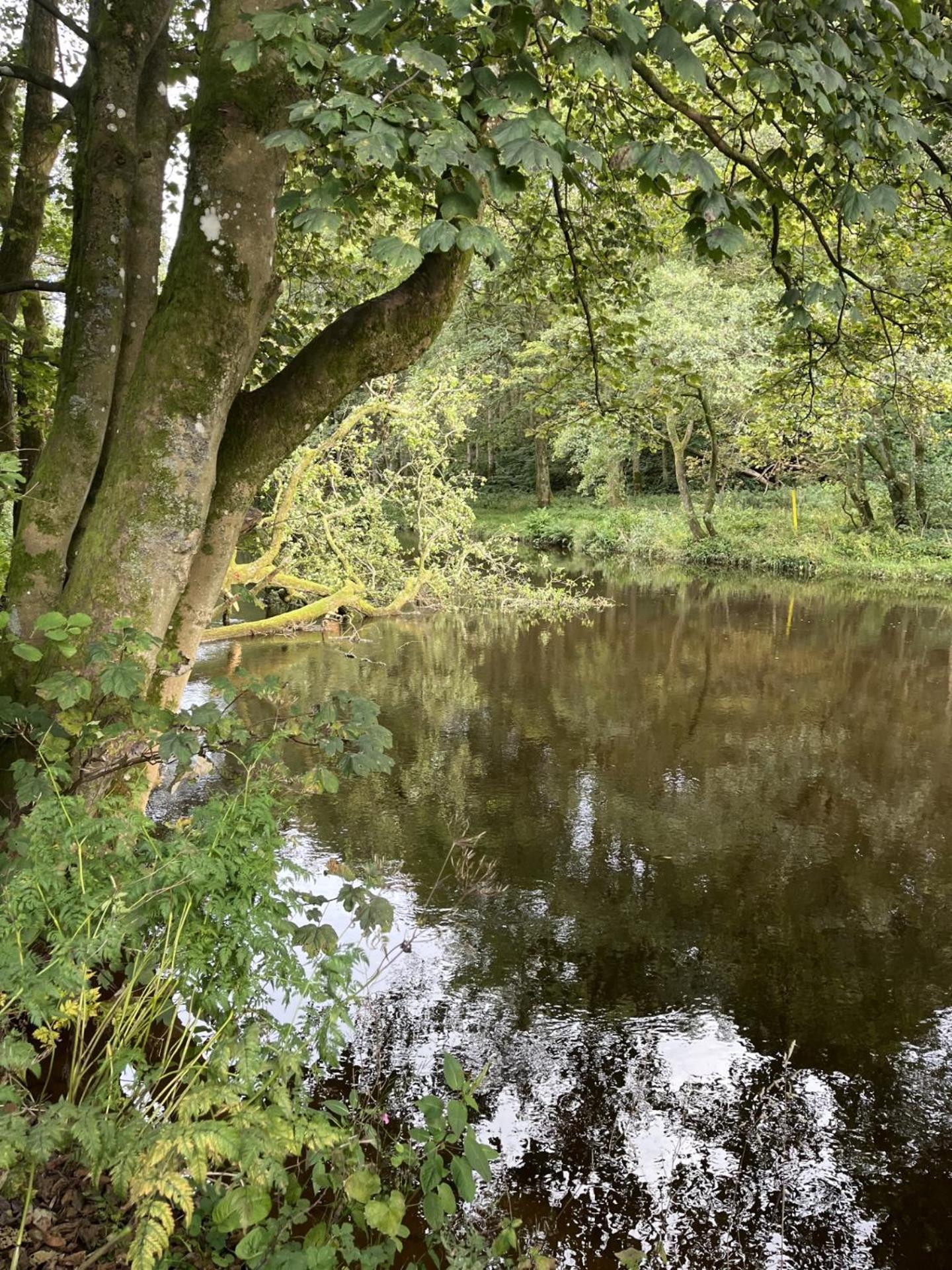 Riverbank Lodge Dollar Kültér fotó